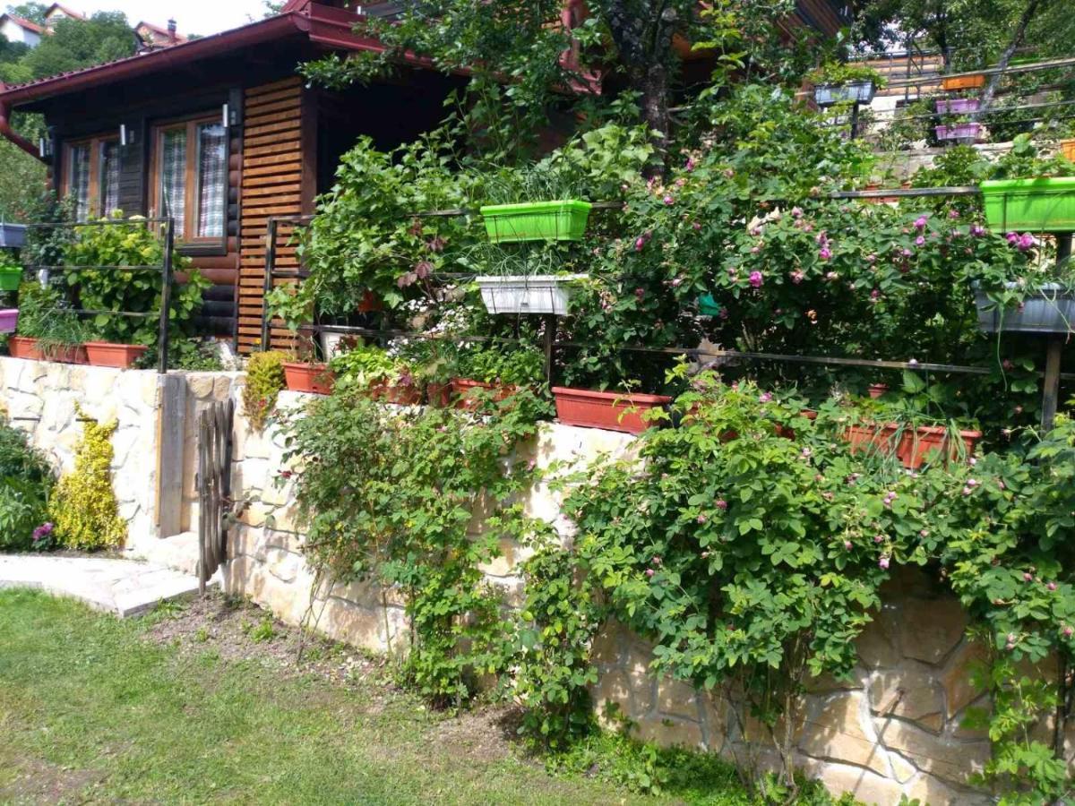 The Bungalows SJJ Exterior photo